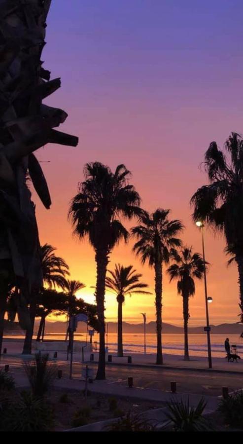 Studio Corniche Apartment La Ciotat Ngoại thất bức ảnh
